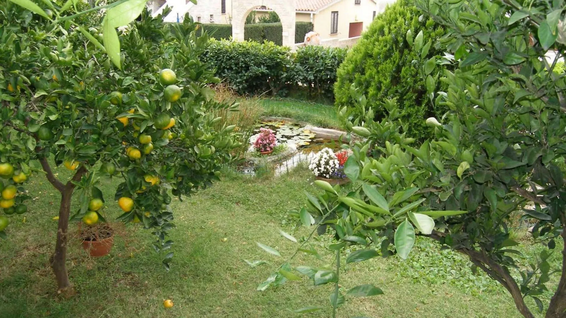 Pensjonat Family House With 2 Apartments - Irma Medulin